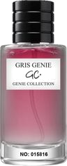 GRIS GENIE